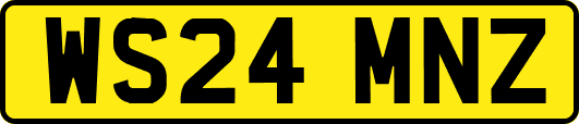 WS24MNZ