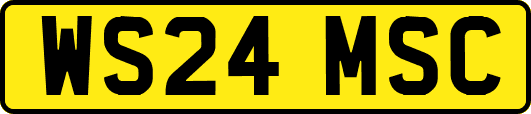 WS24MSC