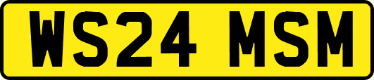 WS24MSM