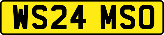WS24MSO