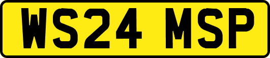 WS24MSP