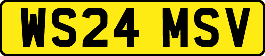 WS24MSV