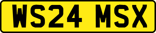 WS24MSX