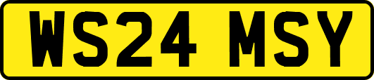 WS24MSY