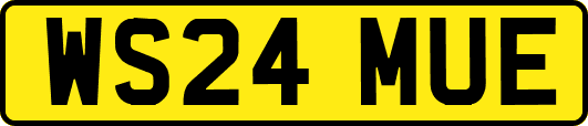 WS24MUE