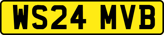 WS24MVB