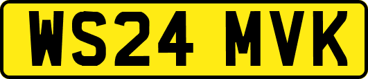 WS24MVK