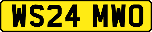 WS24MWO