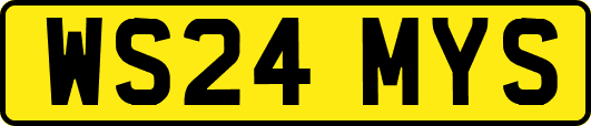 WS24MYS