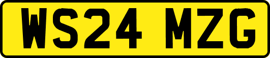 WS24MZG