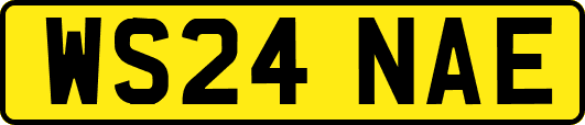 WS24NAE