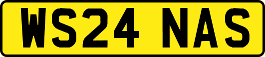 WS24NAS