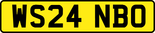 WS24NBO