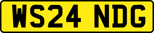 WS24NDG
