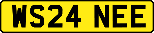 WS24NEE