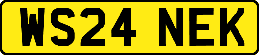 WS24NEK