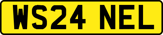 WS24NEL