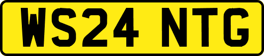 WS24NTG