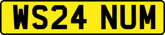 WS24NUM