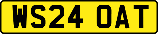 WS24OAT