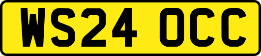 WS24OCC