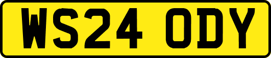 WS24ODY