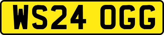 WS24OGG