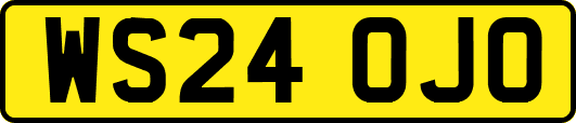 WS24OJO