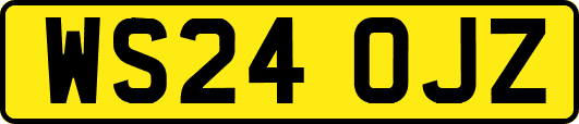 WS24OJZ