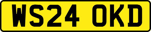 WS24OKD