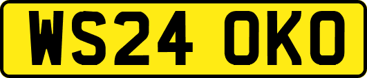 WS24OKO