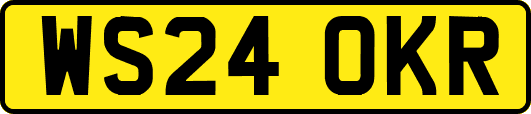 WS24OKR
