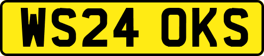 WS24OKS