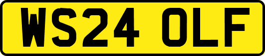 WS24OLF