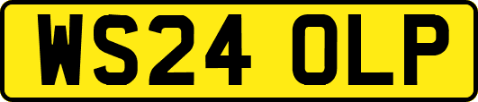 WS24OLP