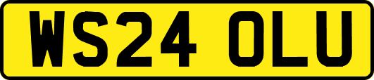 WS24OLU
