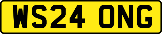 WS24ONG