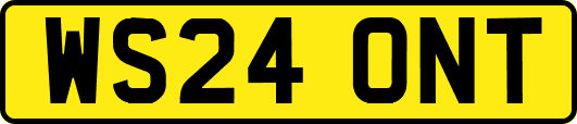 WS24ONT