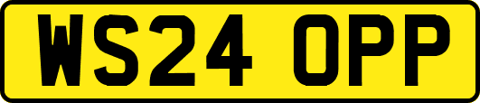 WS24OPP