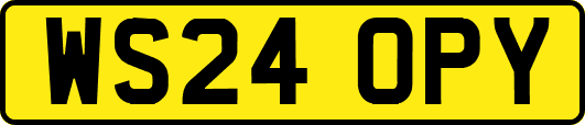 WS24OPY