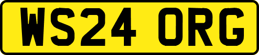 WS24ORG