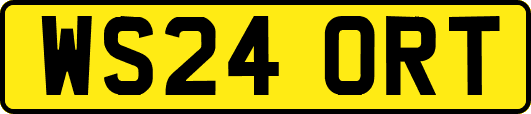 WS24ORT