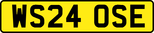 WS24OSE