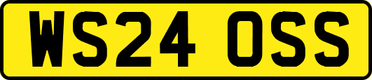 WS24OSS
