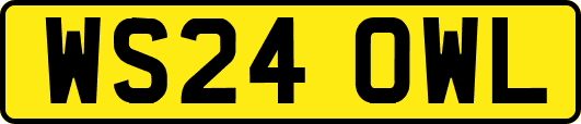 WS24OWL