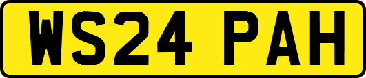 WS24PAH