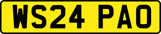 WS24PAO