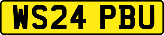 WS24PBU