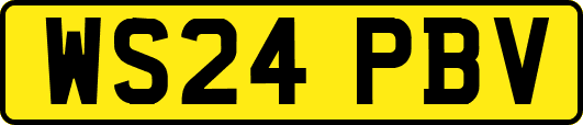 WS24PBV