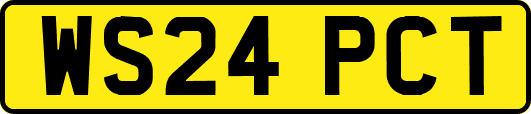 WS24PCT